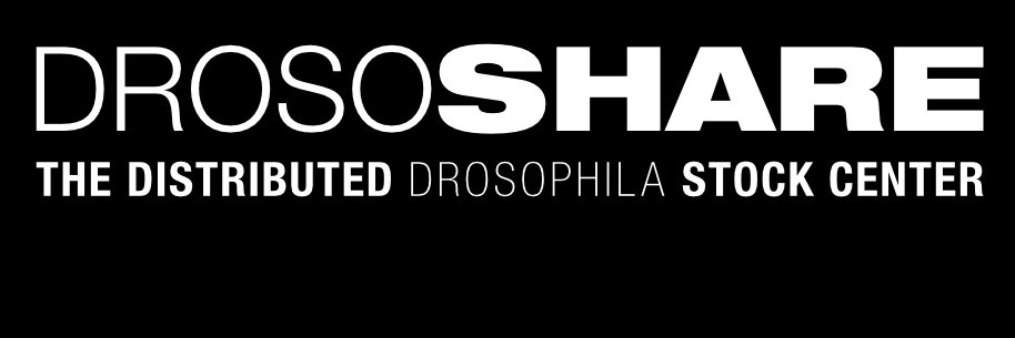 Drososh@re banner