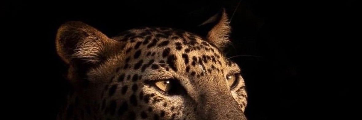 . banner