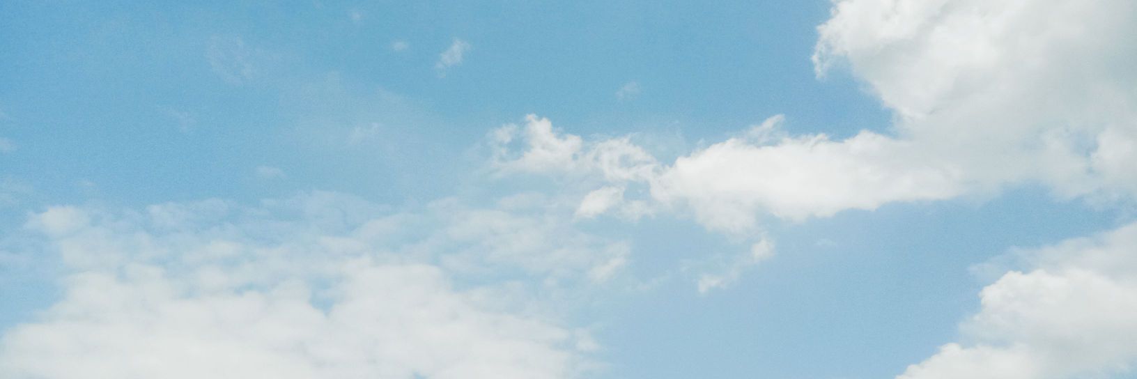 ️️bloom banner