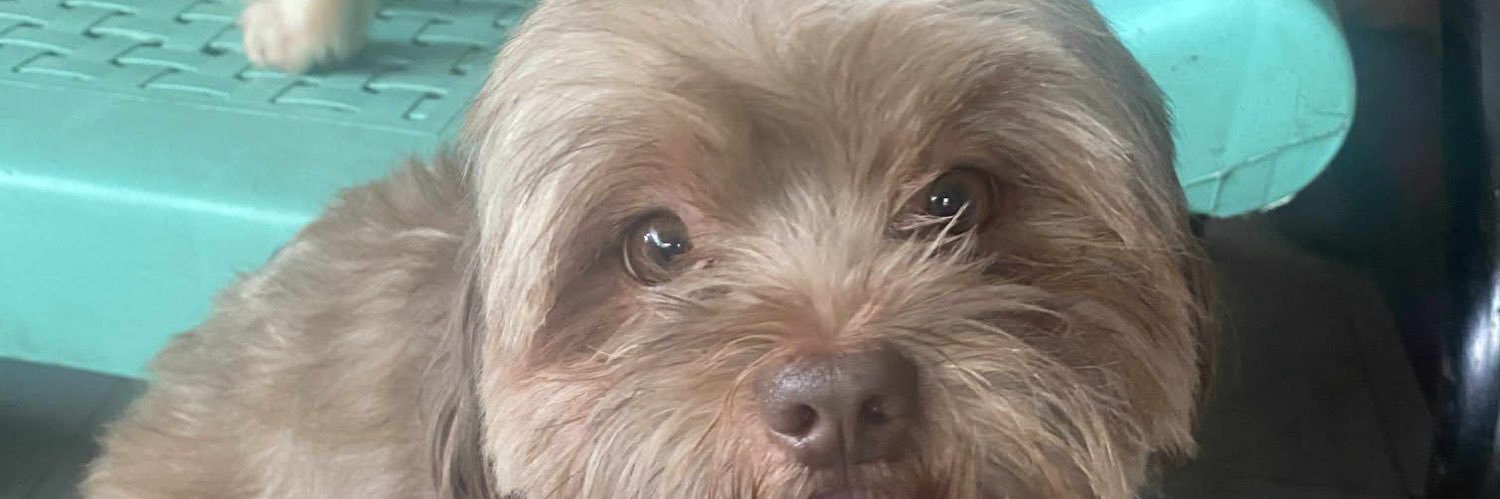 furrmomm's profile banner image