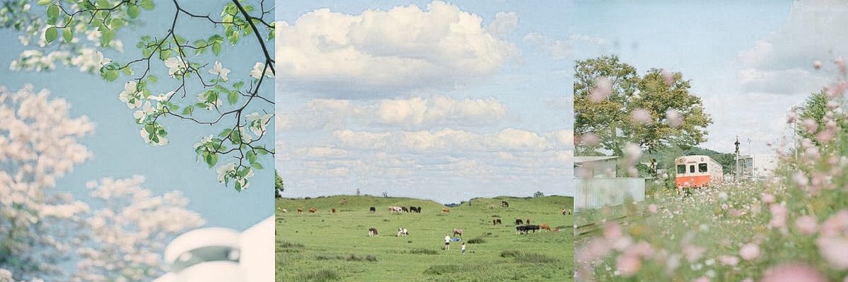 デク愛 bens; 🌈 critical role brainrot banner