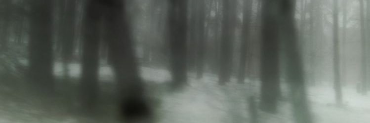 perporch banner