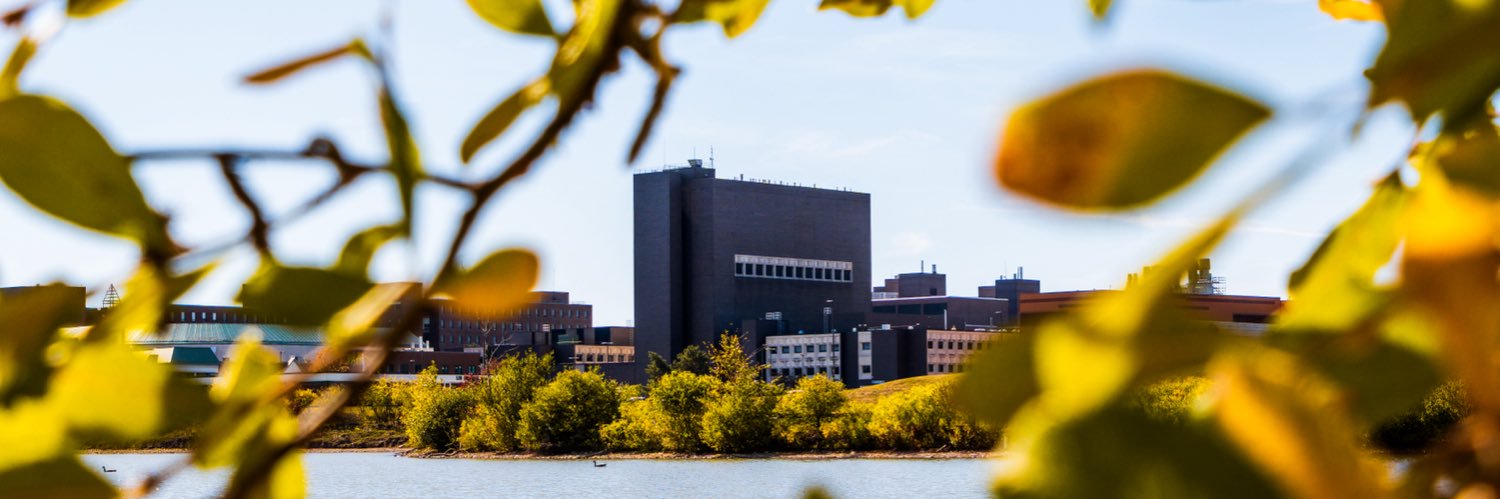 UBuffalo Engineering and Applied Sciences banner