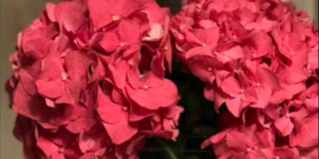 nonh33175's profile banner image