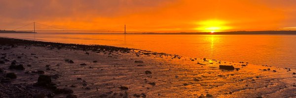 hulllive Profile Banner