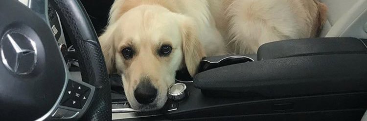 valerie_faith's profile banner image
