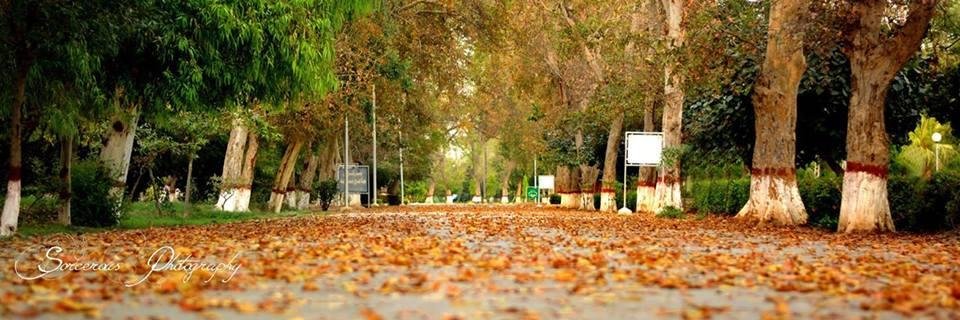 its__husnain's profile banner image