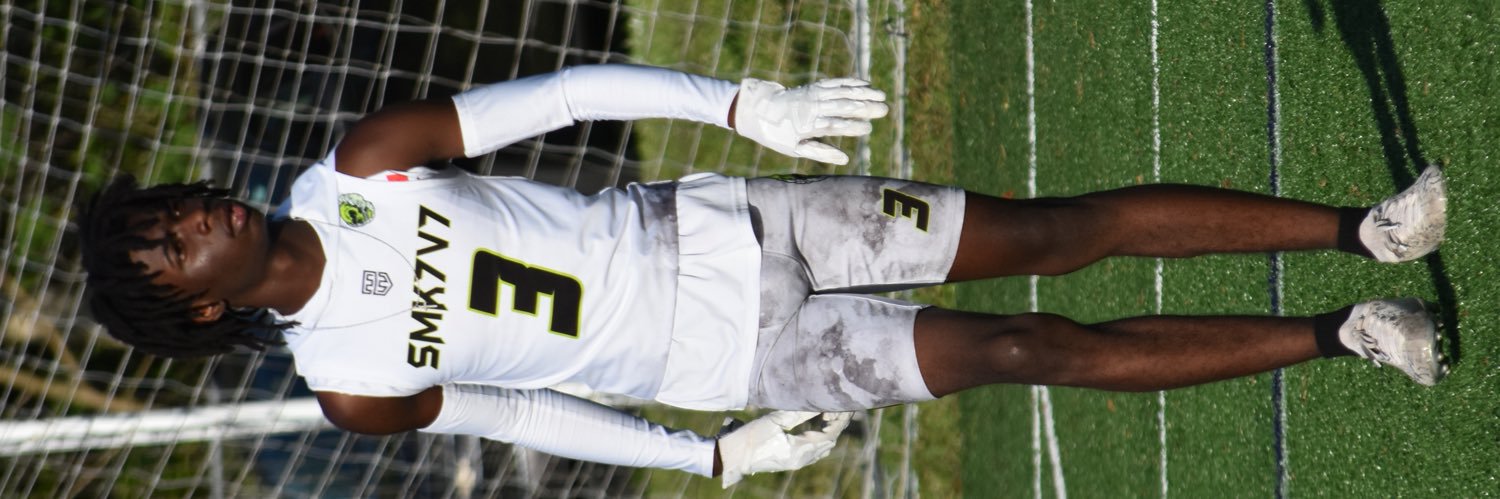 Virmari mckaskill banner