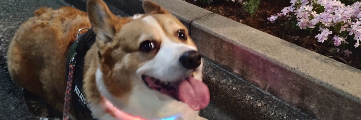 🐶じゃっくん🐶 banner