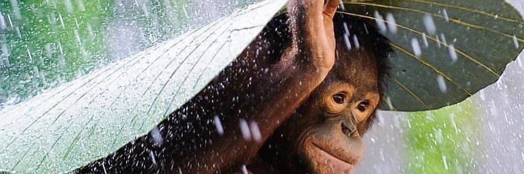 Davidmotebang's profile banner image