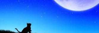 recham3's profile banner image