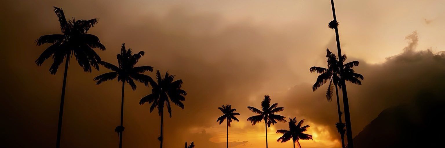 lizer_hammy's profile banner image