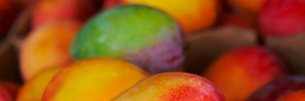 barbie2be Profile Banner