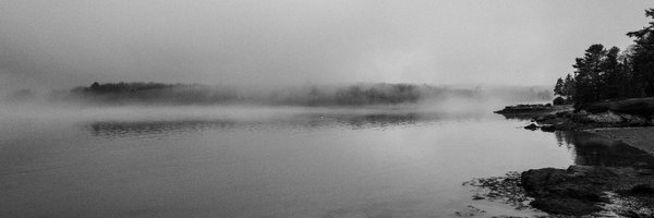 impoliticeye Profile Banner