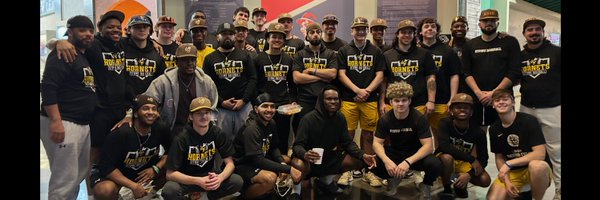 StoweBaseball Profile Banner