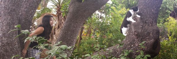 Hanhonymous Profile Banner