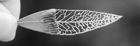 esrf__ctn's profile banner image