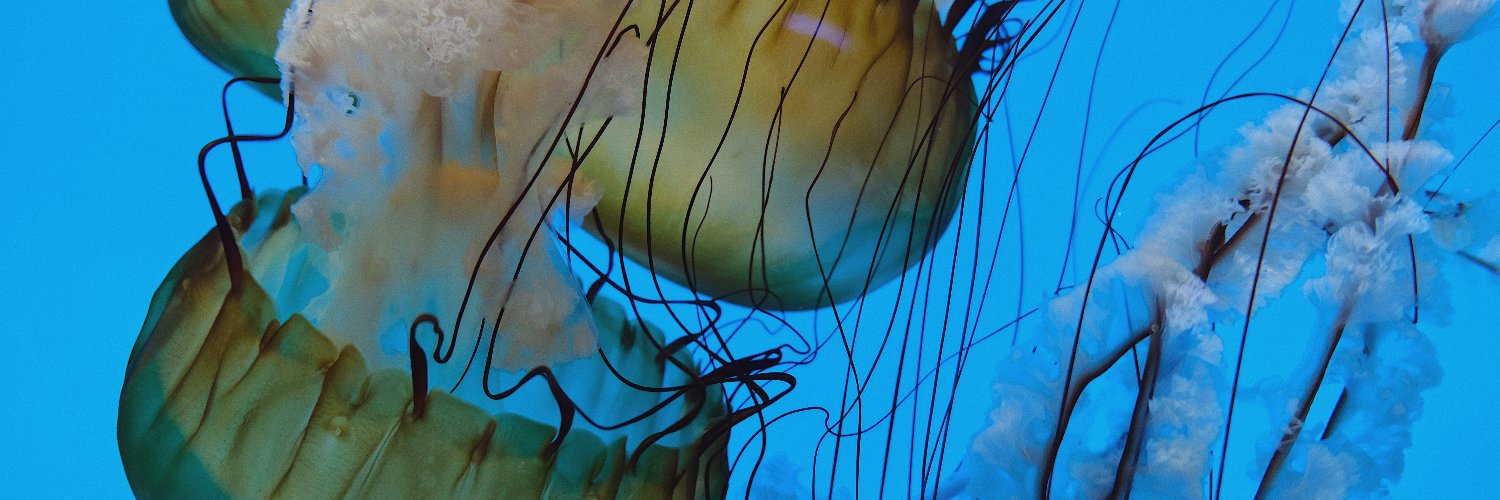 Marine Zooplankton & Micronekton Lab banner