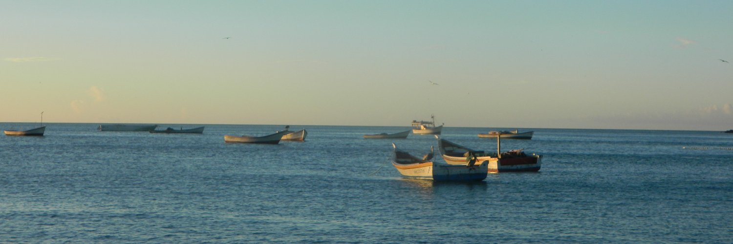 BORGPETERSENII's profile banner image