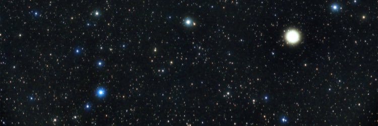 ashleybananas's profile banner image