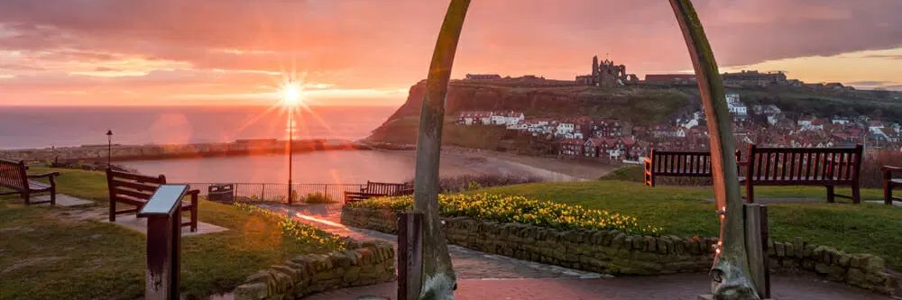 Kirsty Claire 🏴󠁧󠁢󠁥󠁮󠁧󠁿 🇬🇧🥀 banner