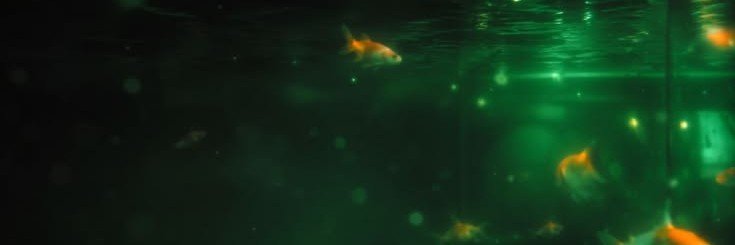ItsYazzz2's profile banner image