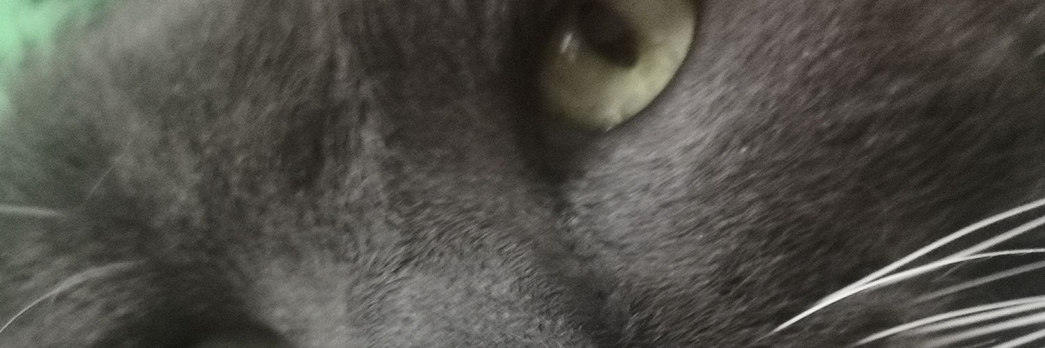 Valaware's profile banner image