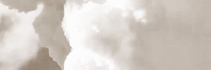SeleeToldo's profile banner image