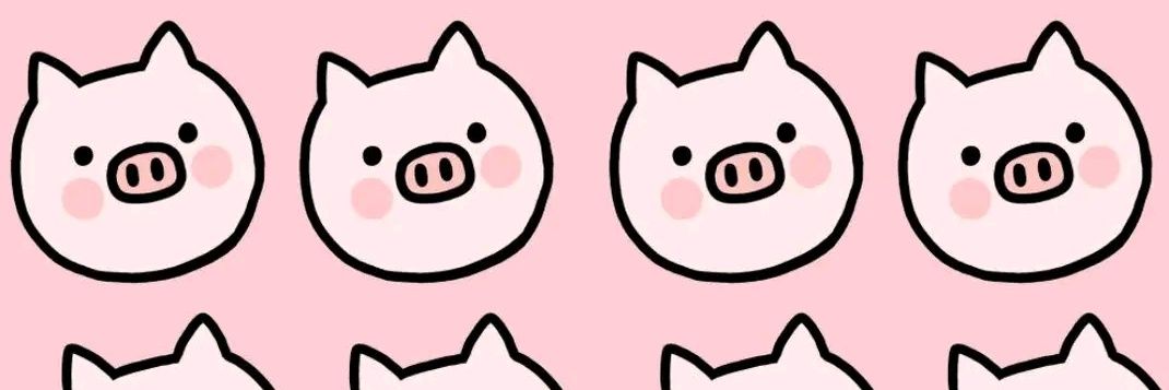 CrazyGirl.🐽 banner