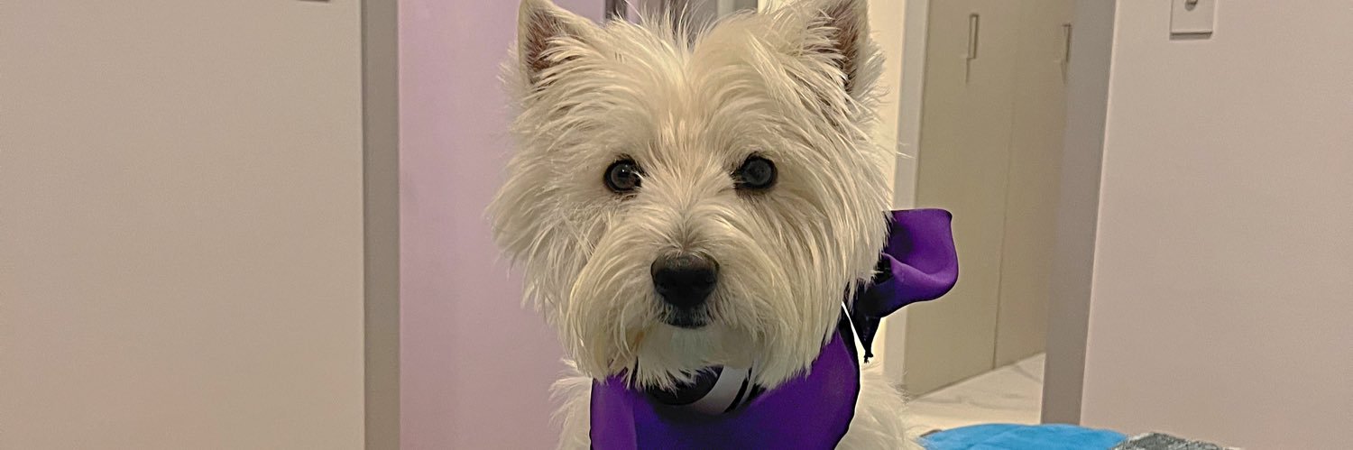 Jessy Freire Manzano banner