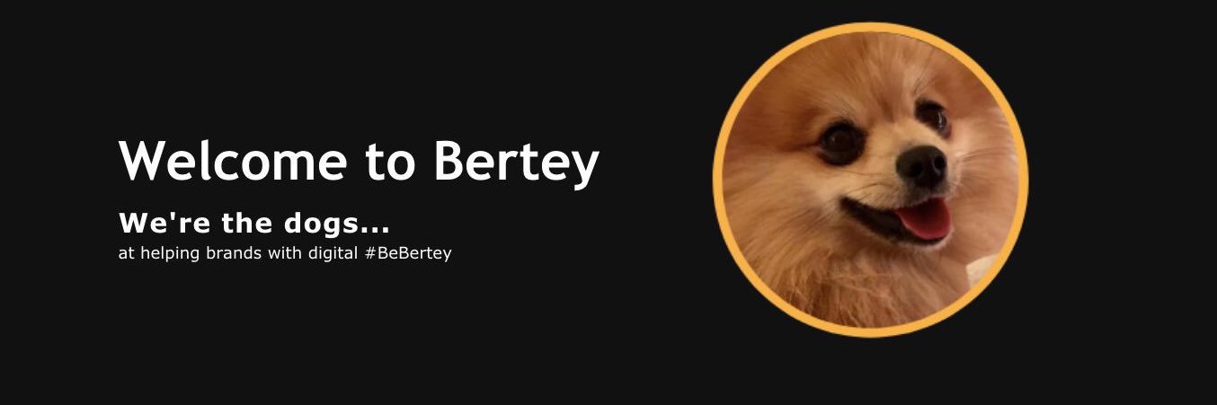 BERTey banner