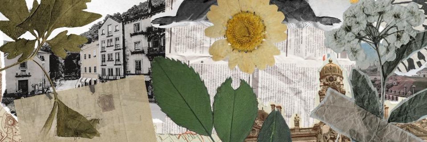 𝑎 𝑙𝑖𝑣𝑖𝑛𝑔 𝑝𝑎𝑟𝑎𝑑𝑜𝑥 .'s banner