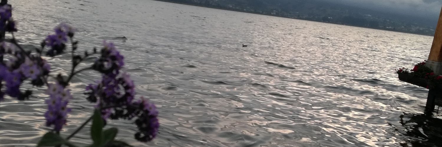 MajooVF's profile banner image
