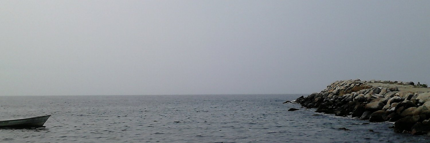 luisginy's profile banner image
