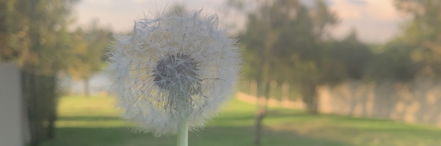 ShalGHat's profile banner image