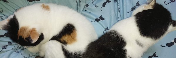 DxD_Azusa Profile Banner