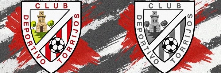 Torri_Fans's profile banner image