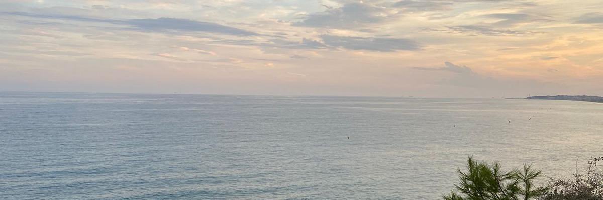 lupeebelmontee's profile banner image