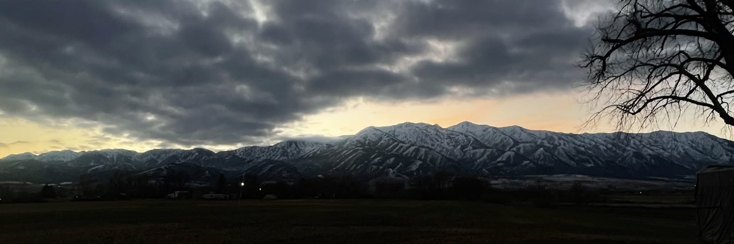 William Davis banner