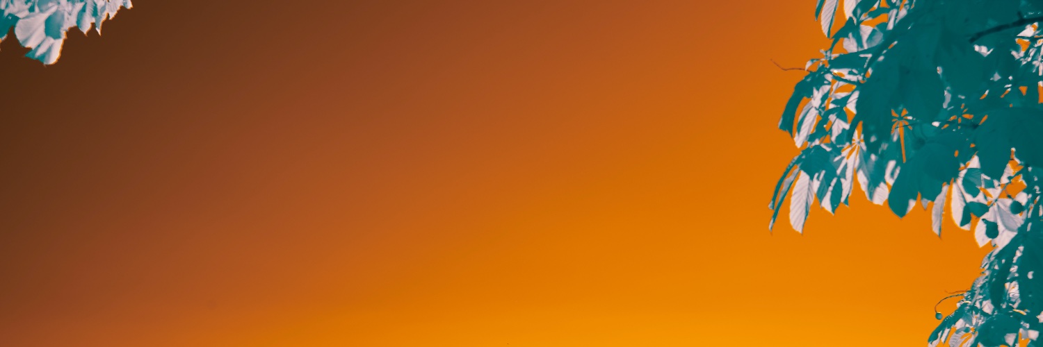 en2em1's profile banner image