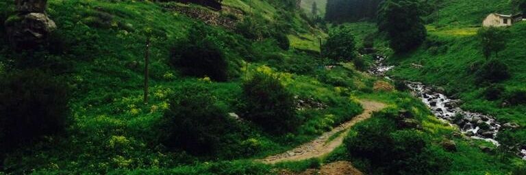QQ_141's profile banner image