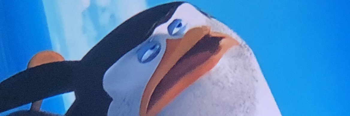 safewayburrito's profile banner image