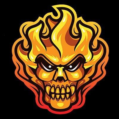 BONEFIRE TOKEN banner