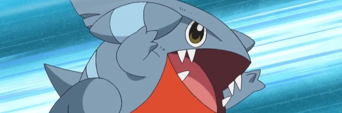 gible interesting facts and updates banner