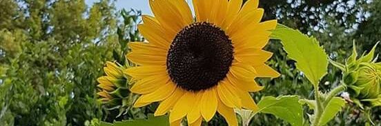 MaraHerreraAB's profile banner image