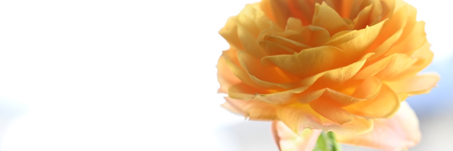 zucca_w's profile banner image