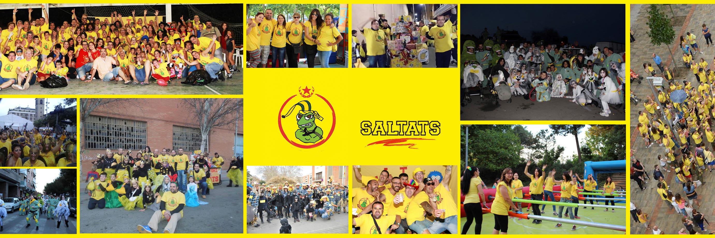 Saltats's profile banner image