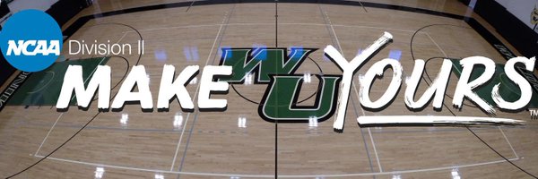 WilmU_WBB Profile Banner