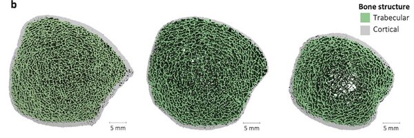 MaryBouxsein Profile Banner