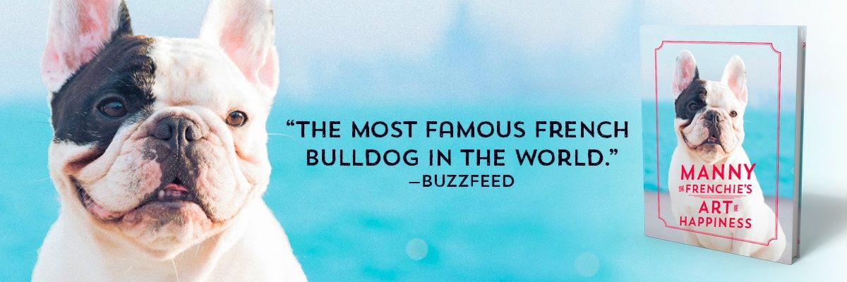 Manny The Frenchie banner